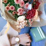 Amsterdam Alexander Frank